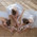 фотография Jete