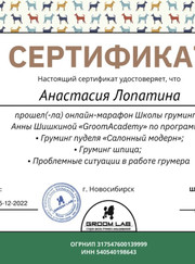 Грумер Анастасия Алексеевна Лопатина