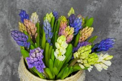 Цветочный магазин Созвездие флоры, с рейтингом 5 - находится по адресу Московская область, Балашиха, Звёздная улица, 14 