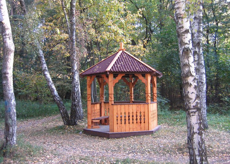 Беседки в дубках. Битцевский лес беседки. Беседка в березовой роще. Парк Кузьминки беседки. Беседки в Павлинском лесопарке.