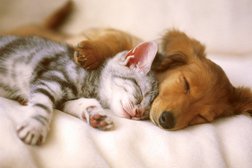 Ветеринарная клиника на улице Тюленина, 31, с рейтингом 4.5 - находится по адресу Караганда, Тюленина, 31 