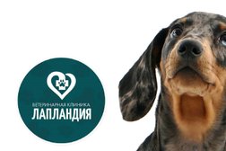 Ветеринарная клиника ЛапЛандия, с рейтингом 4 - находится по адресу Нижний Новгород, улица Терешковой, 3 