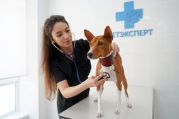 Ветеринарный центр ВетЭксперт, с рейтингом 3.8 - находится по адресу Владимир, Суздальский проспект, 11а 