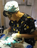 Вахаева Надежда Витальевна