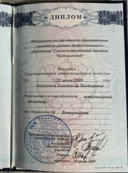 Ветеринарный врач УЗИ, ветеринарный хирург Анастасия Викторовна Аверкович