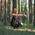 фотография YogaCODE