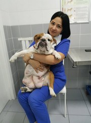 Ветеринарный хирург, ветеринар Ксения Сергеевна Кочкина