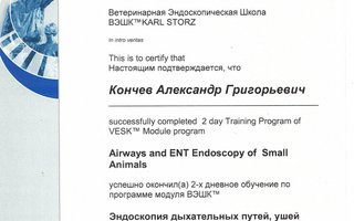 сертификат/документ ветеринара Александра Григорьевича Кончева