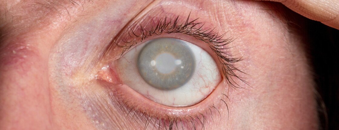 Источник фото: Alessandro_Grandini / freepik.com