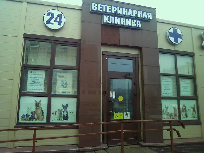 Ветклиника на корзуна. Рыжий хвост энгельс. Ветклиника на корзуна. Ветклиника на корзуна. Ветклиника зоогалерея часовая.