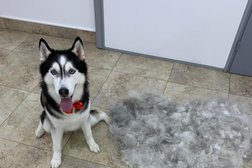 Груминг-салон Stylish Tail, с рейтингом 2 - находится по адресу Владивосток, Русская улица, 55а 