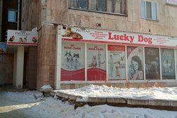 Ветеринарная аптека Lucky Dog, с рейтингом 3.5 - находится по адресу Караганда, Степной 3-й микрорайон, 3 