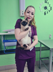 Ветеринарный хирург, ветеринар Регина Андреевна Корявина