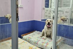 Зооцентр Капитолий, с рейтингом 2.4 - находится по адресу Москва, 4-я Кабельная улица, 2а ст1 