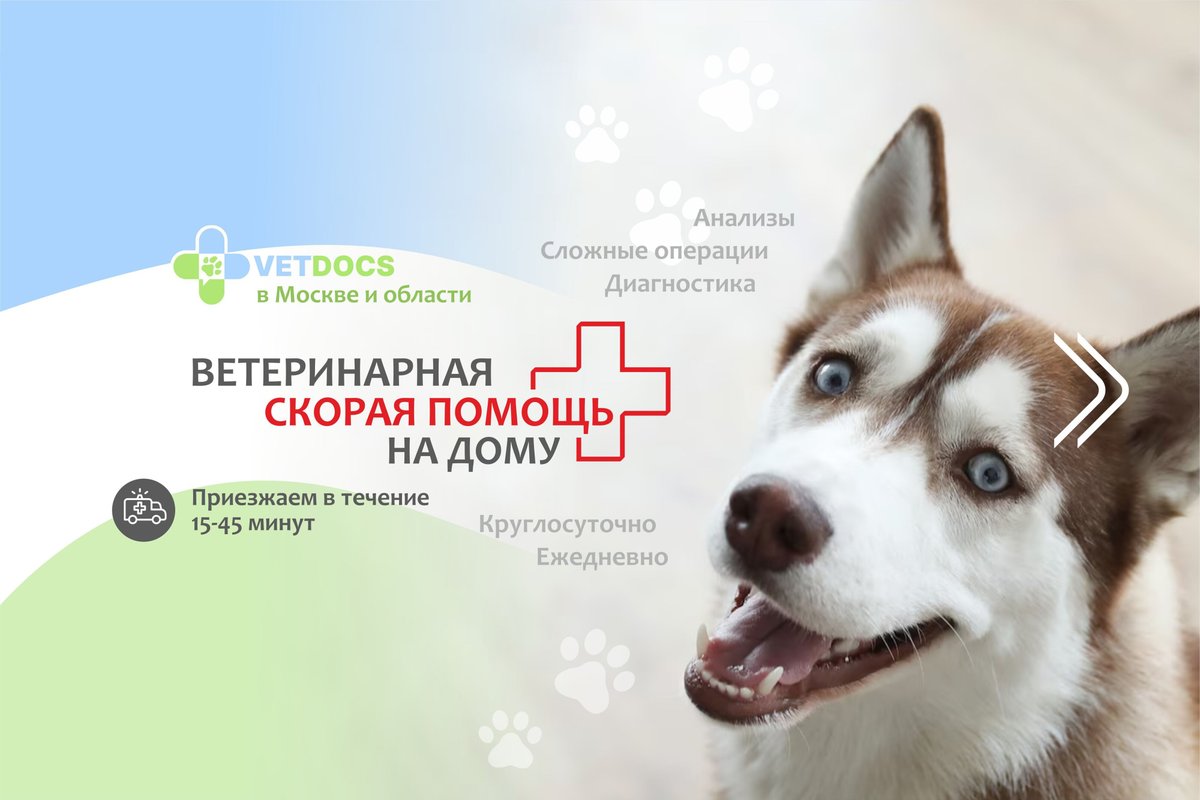 фотография Ветеринарной службы Vetdocs на Большой Серпуховской улице, 45 в Подольске