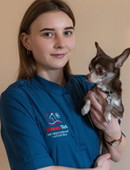 Ариткулова Дарья Дмитриевна