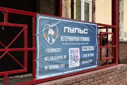 Ветеринарная клиника Пульс, с рейтингом 4 - находится по адресу Нижний Новгород, проспект Гагарина, 110В 
