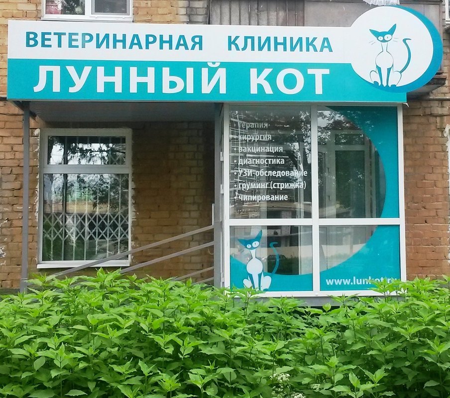 Лунный кот зеленоград