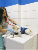 Брыкина Ольга Александровна