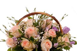 Компания по доставке цветов cvety.kz, с рейтингом 5 - находится по адресу Алматы, улица Толе Би, 162 