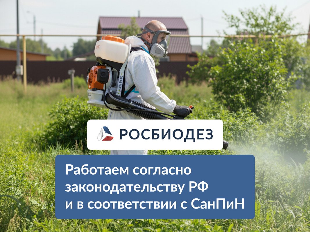 фотография работы Службы дезинфекции Росбиодез