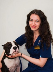 Ветеринарный врач УЗИ, ветеринар Диана Артуровна Мазманян