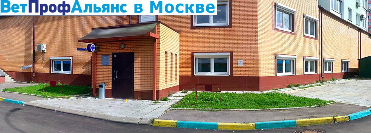 Ветпрофальянс ул маркова 6 чехов фото