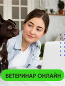 Яковлева Анна