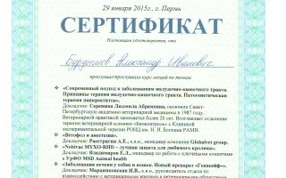 сертификат/документ ветеринара Александра Ивановича Бурдышева