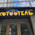 фотография Catsy Home