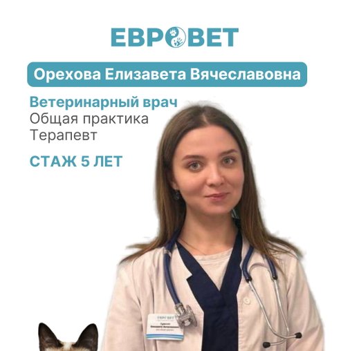 Елизавета Вячеславовна Орехова