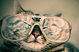 Санаторий Карачарово, с рейтингом 3 - находится по адресу Тверская область, деревня Карачарово, 1 