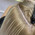 фотография Magichair