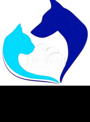 Ветеринарный хирург, ветеринар Константин Носов