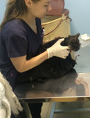 Парахина Дарья Юрьевна