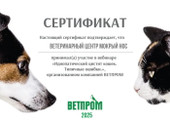 сертификат/документ Ветеринарного центра Мокрый нос на Халтуринской улице, д18