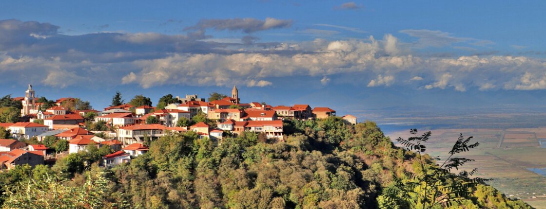 Автор фото Svetlbel | pixabay.com