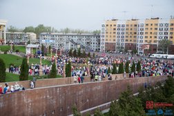 Альянс Полис