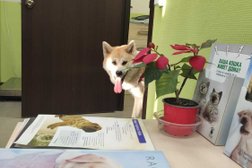 Ветеринарная клиника Единорог, с рейтингом 4 - находится по адресу Пермь, Кировоградская улица, 38Б 