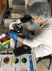 Ветеринарный врач-терапевт, ветеринар Елена Владимировна Кривоспицкая