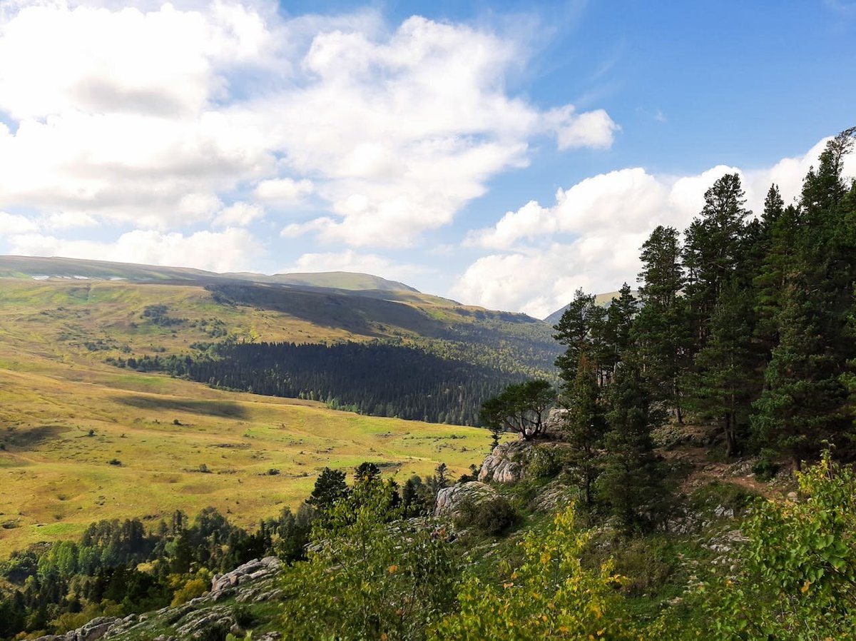 Вид на зеленеющие холмы и лес