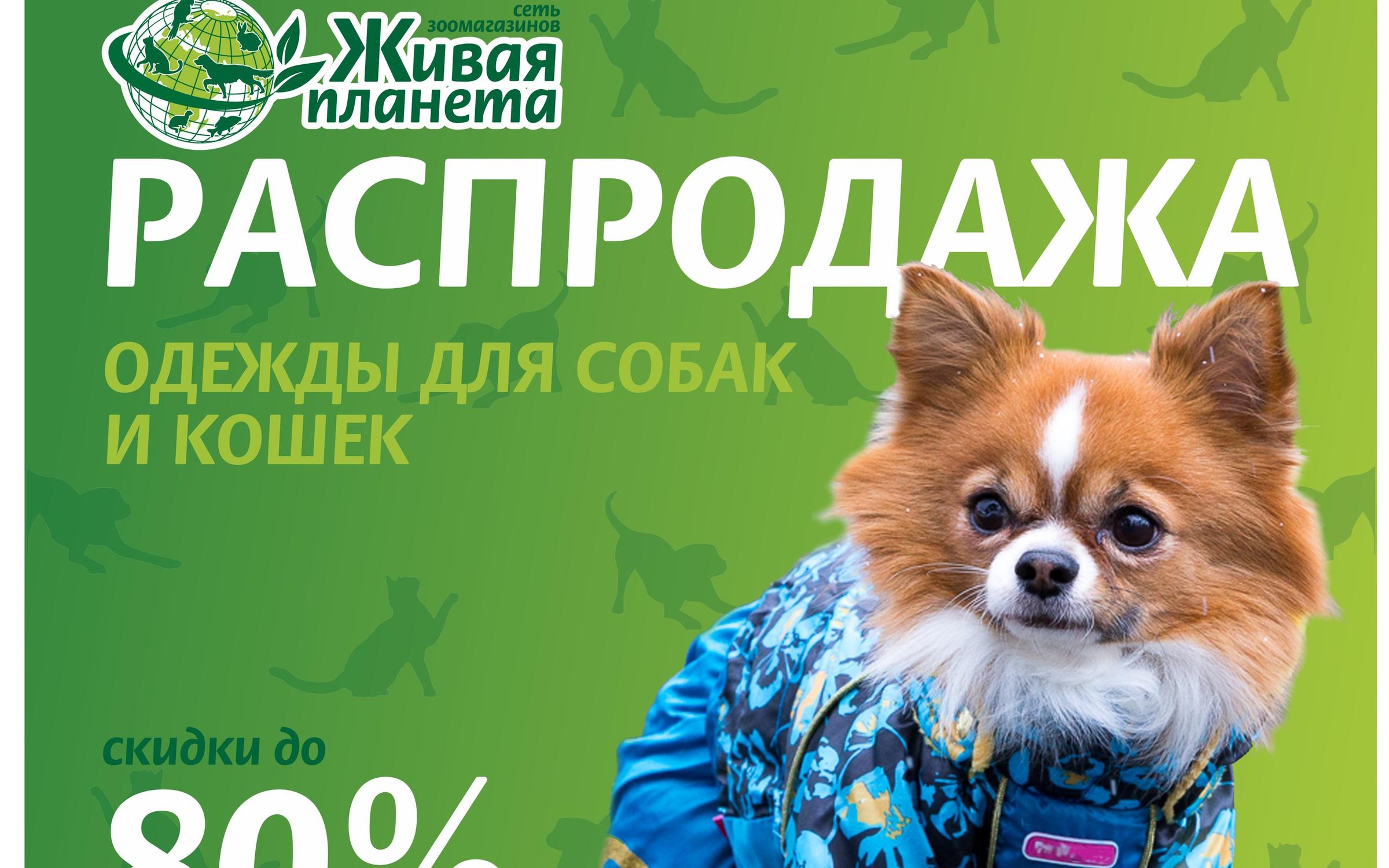 Живая Планета Тверь Интернет Магазин