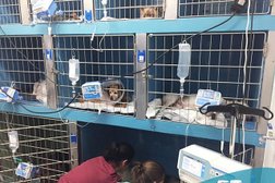 Клиника ветеринарной хирургии и травматологии, с рейтингом 3.7 - находится по адресу Белгород, улица Мичурина, 39А 