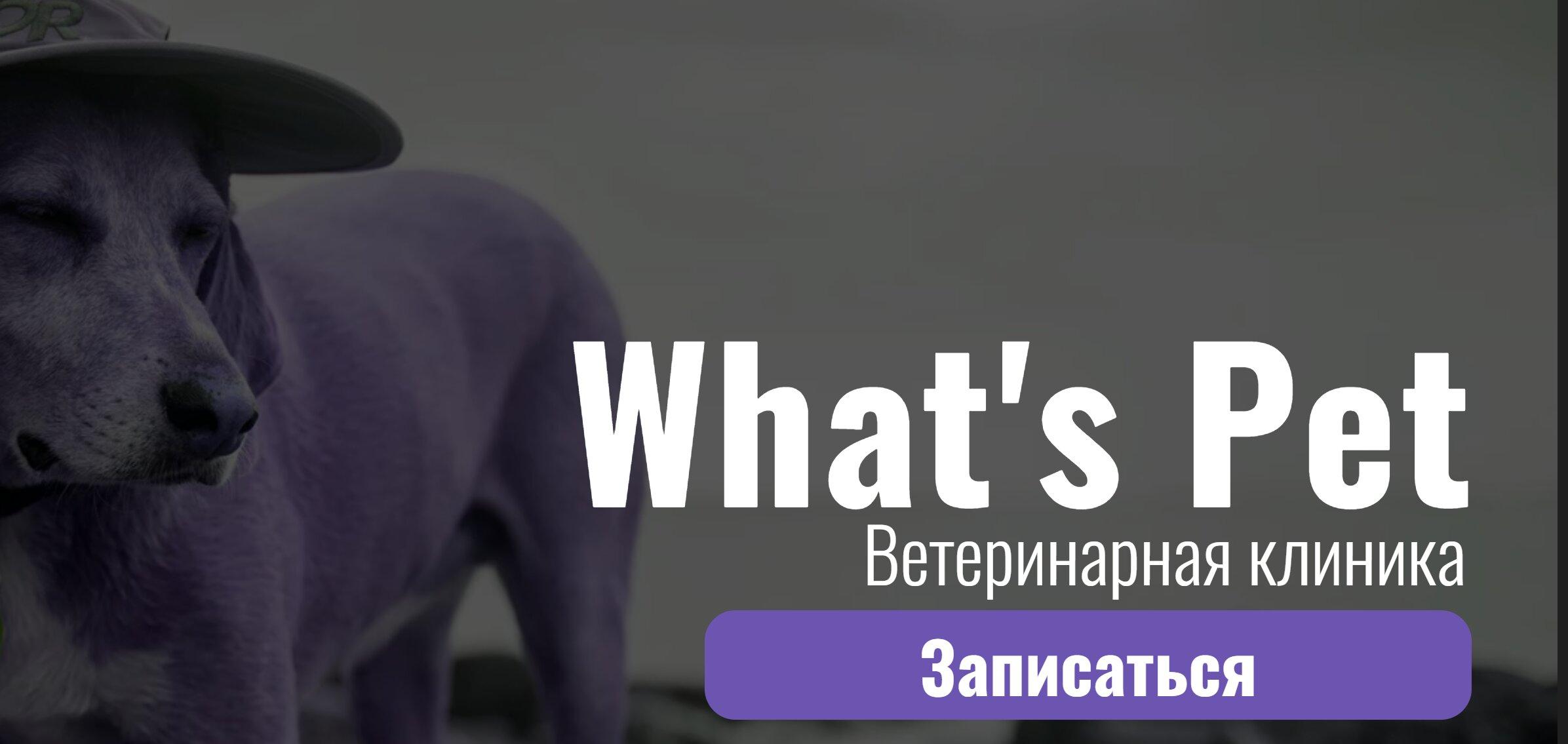 What's Pet, ветеринарная клиника на метро Бибирево в Москве - отзывы ...