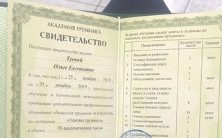 сертификат/документ ветеринара Ольги Туевой