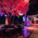 фотография Unreal Place