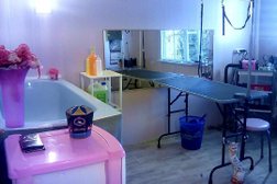 Зоостудия на Грабцевском шоссе, с рейтингом 3 - находится по адресу Калуга, Грабцевское шоссе, 24 