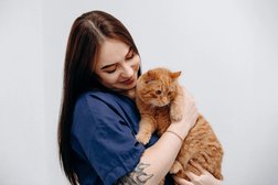 Ветеринарная клиника Колибри, с рейтингом 5 - находится по адресу Воронеж, улица Историка Костомарова, 40а 