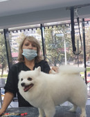 Виноградова Лана Сергеевна