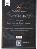 Попова Анастасия Алексеевна